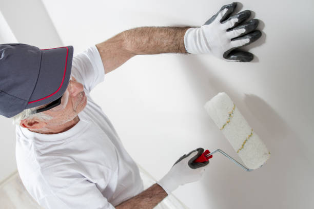 Best HVAC Mold Inspection and Cleaning  in Bel Ridge, MO
